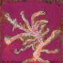 La Comunicazione - cm 130 x 130